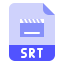 Download SRT