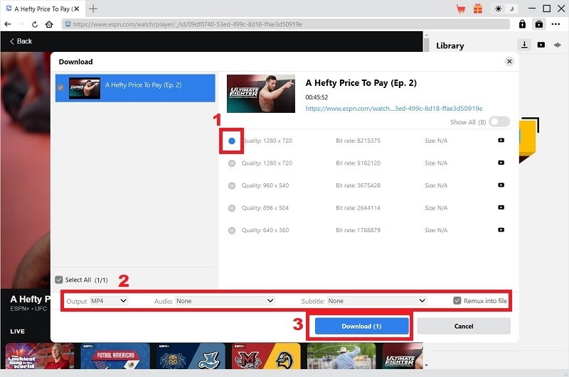 download movies using cleverget