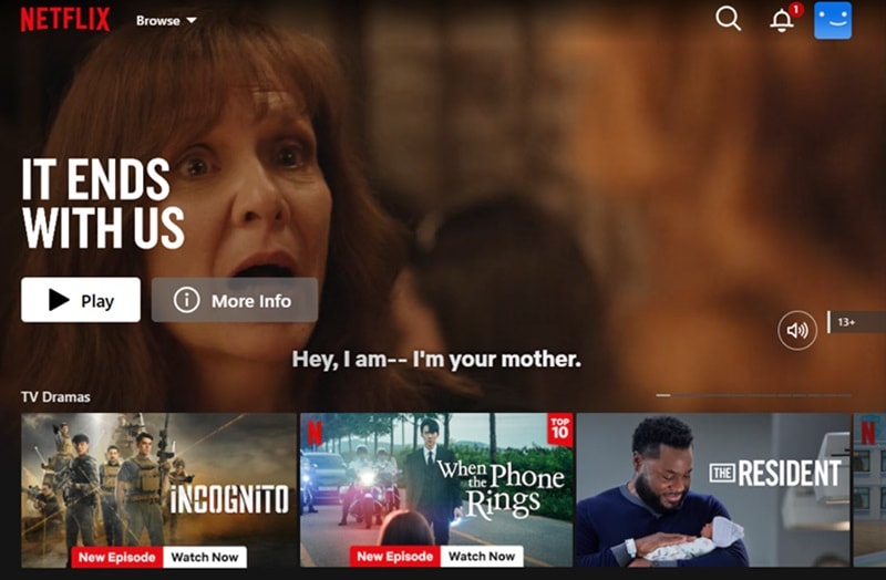 netflix interface