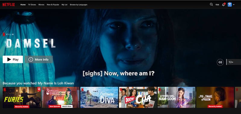 netflix interface