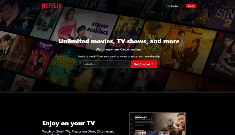 prmovies alternative - netflix