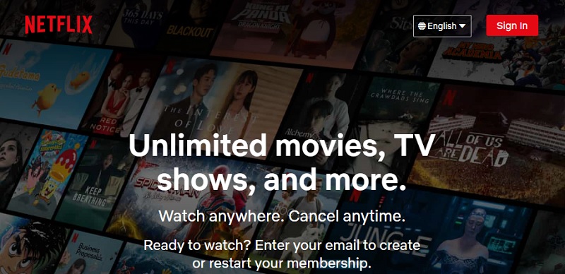 netflix interface