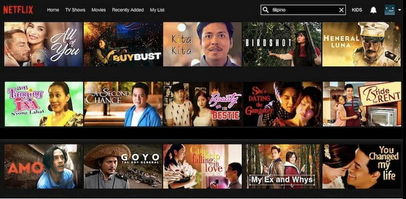 netflix interface