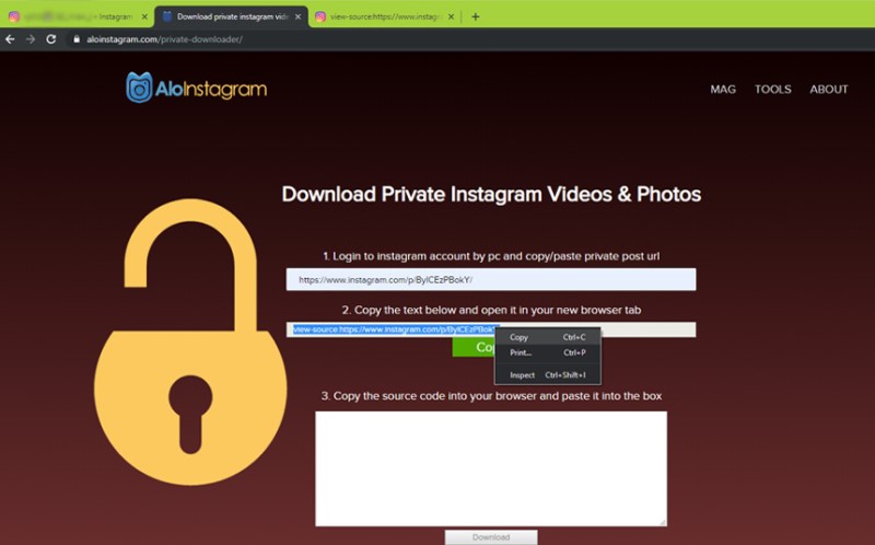 aloinstagram interface