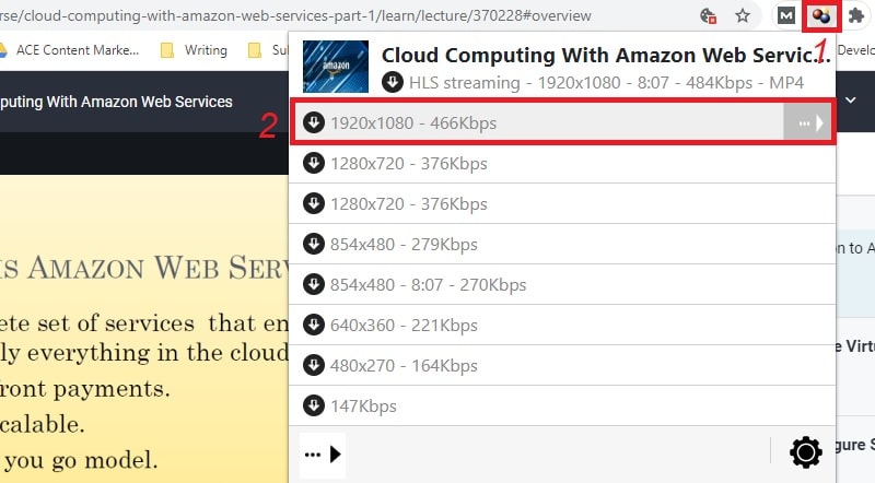 download udemy videos using browser extension