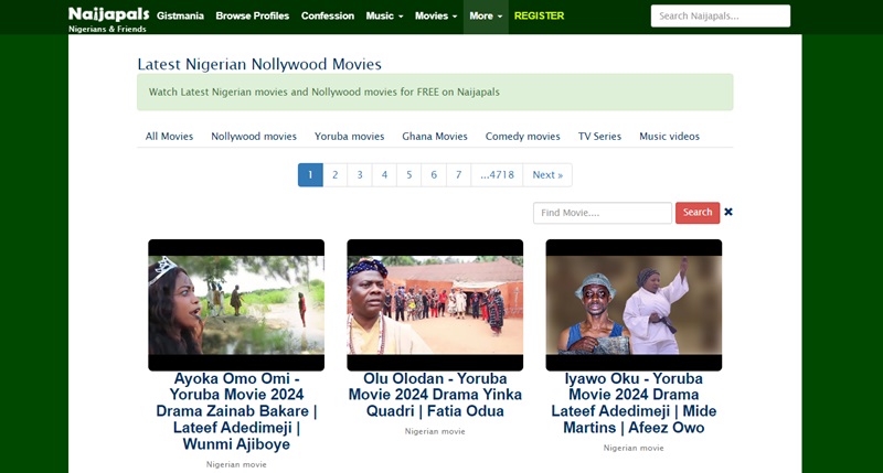 sites like netnaija naijapals interface