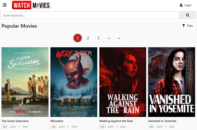 watchmovies interface