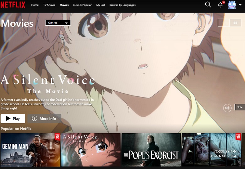 netflix interface