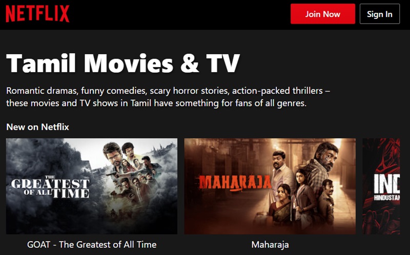 netflix interface