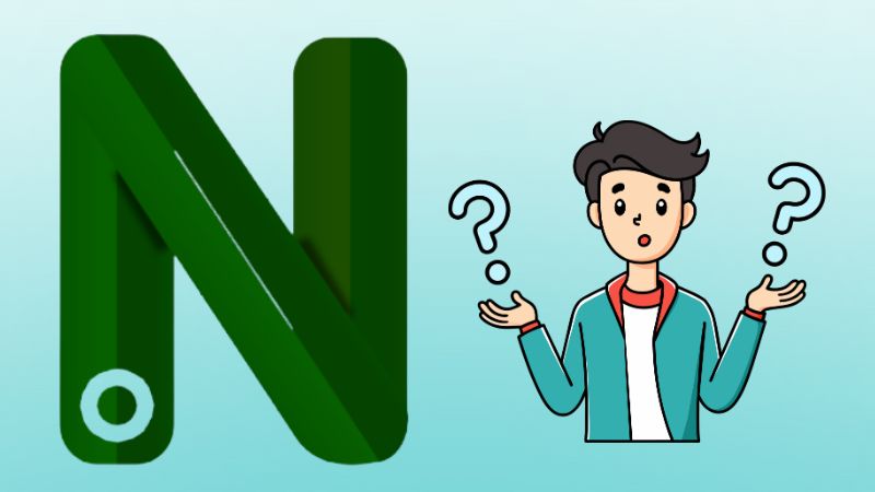 what happened to netnaija