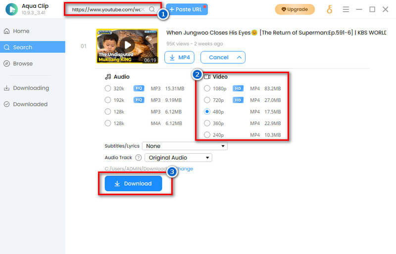 download embedded video