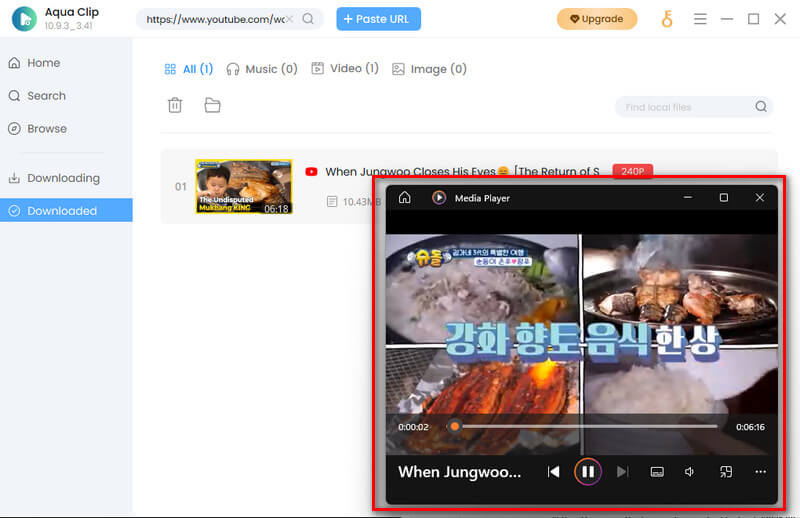 play downloaded video
