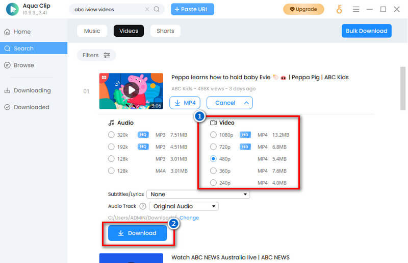 select format and quality then download