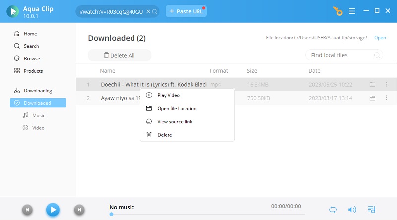 preview downloaded video