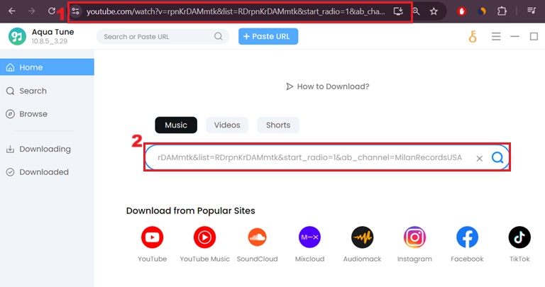 copy youtube url