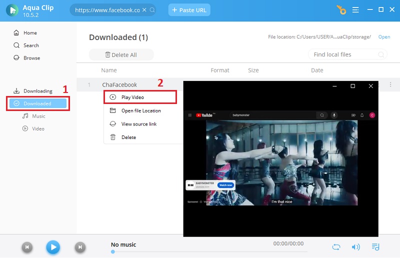 preview downloaded facebook video