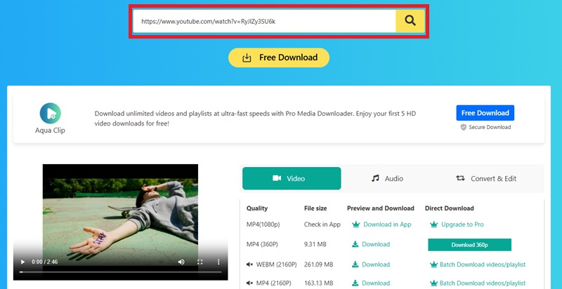 paste youtube link