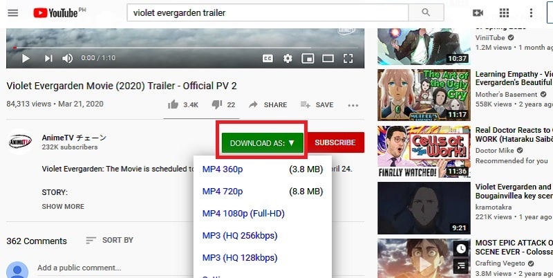extension-downloader-step2