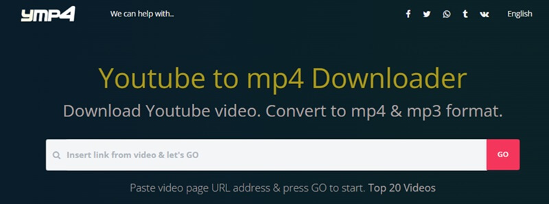 ymp4 interface