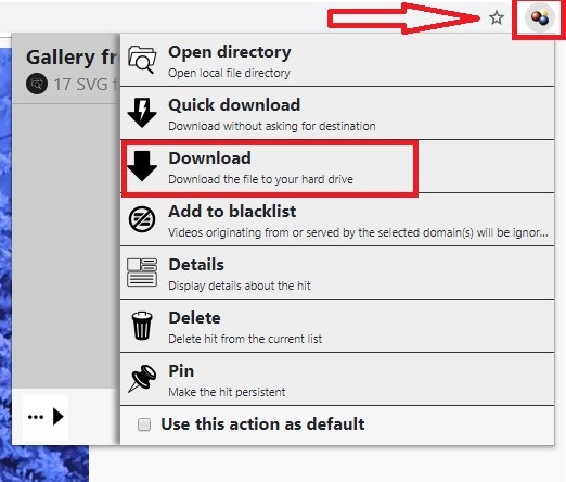 video-downloadhelper-interface
