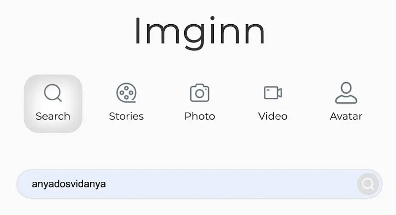 view instagram without account with imginn