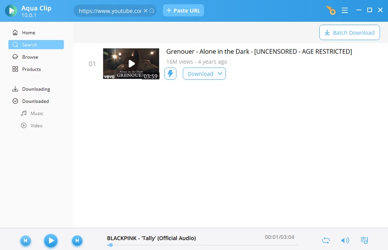 paste the video url