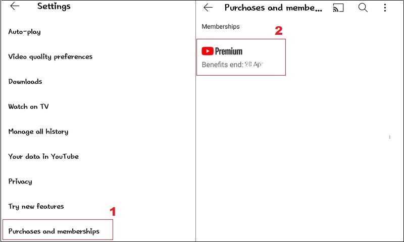 check youtube premium